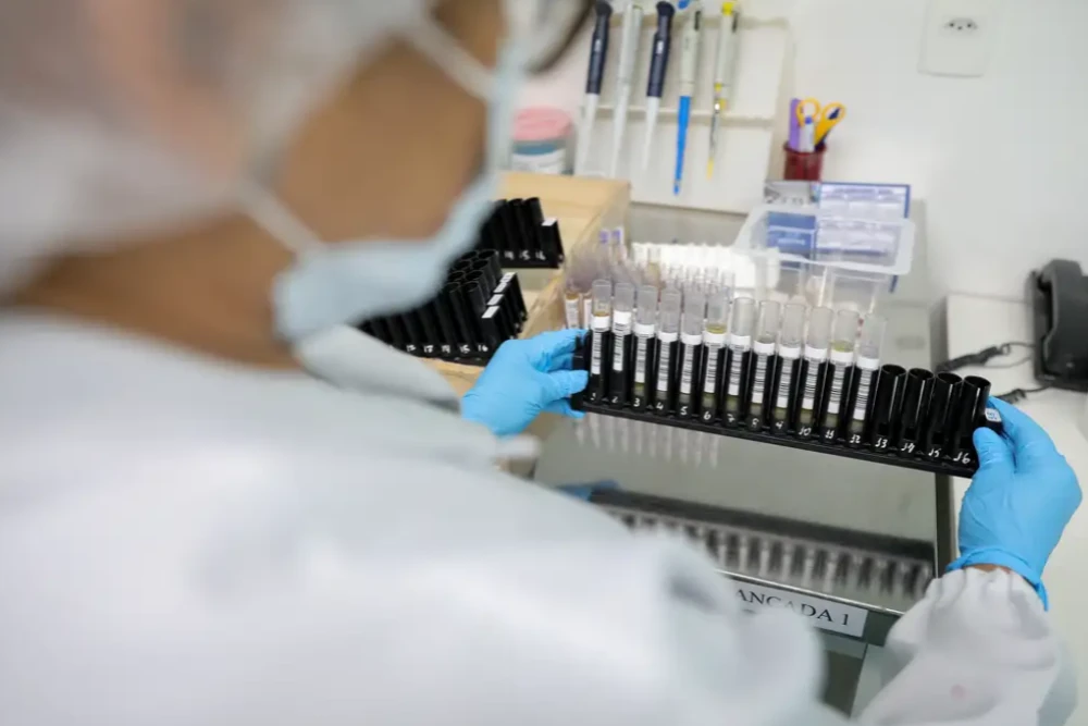 Anvisa autoriza testes em humanos de vacina brasileira contra a malária.